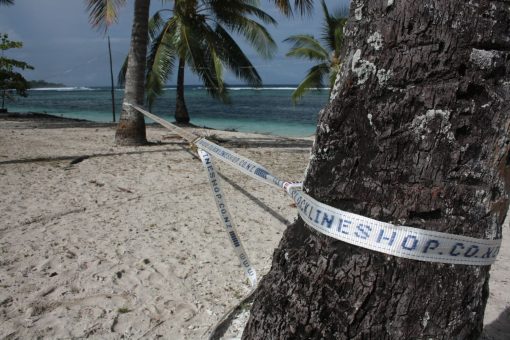 15-meter-slacklineshop-co-nz-beach-tree-palmtree