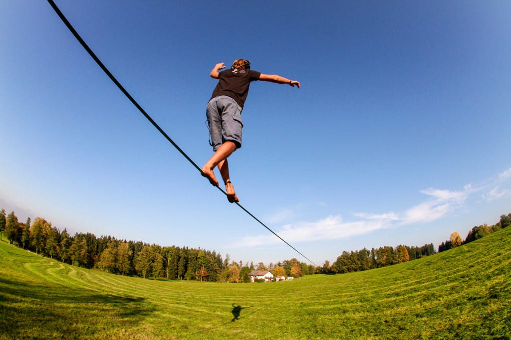 Elephant-slacklines-longlining-new-zealand