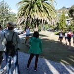 see-people-slacklining-nelson-new-zealand