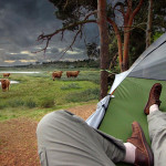 tentsile-hammock-tree-tent-camping-water-bufalo-outdoor-new-zealand
